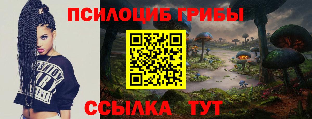 Ставрополь  Псилоцибиновые грибы Psilocybine cubensis  Вход с VPN 